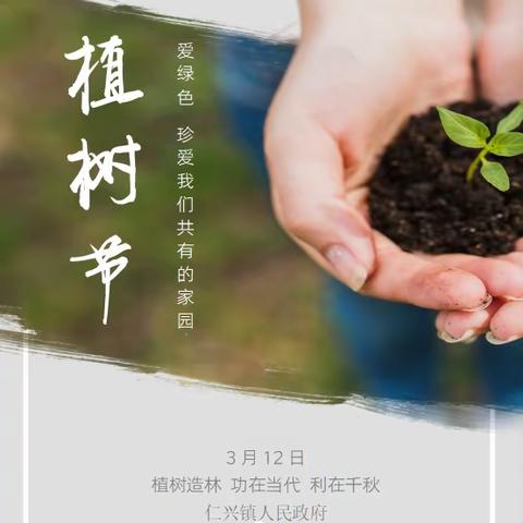 仁兴镇开展2023年植树节活动