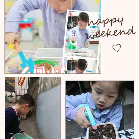 “一粒种子、一片春天” ——普贤蒙正幼儿园种植记