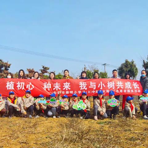 植初心 种未来 我与小树共成长 ——崇明小学三3中队“太阳鸟”志愿者活动