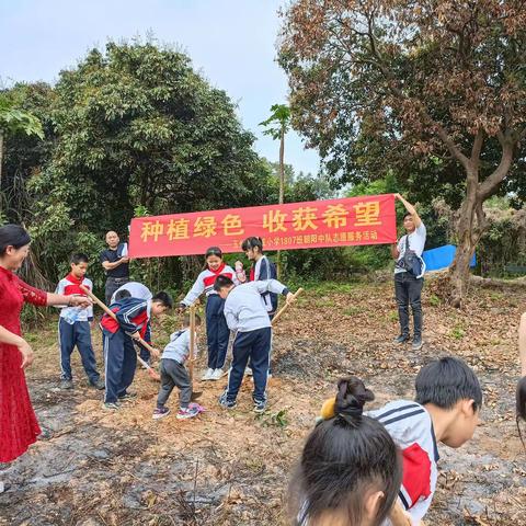 和雅 • 主题班会 | 种植绿色 收获希望——东成小学1807班组织2023年植树节专题实践活动