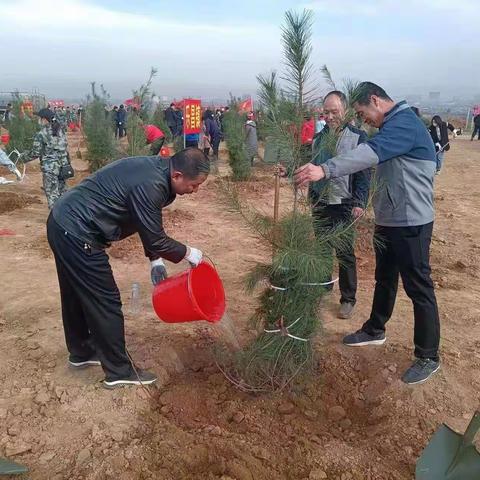 北关社区“3.12”植树节义务活动