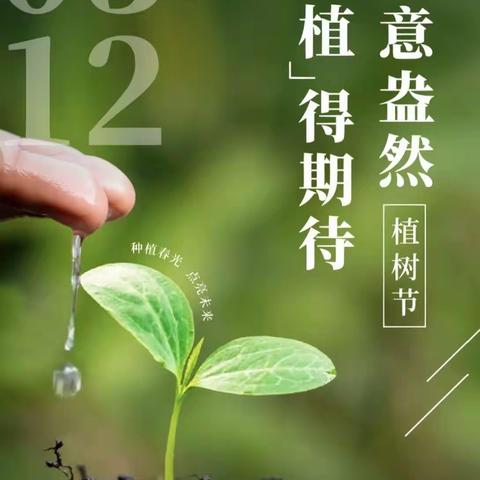 “绿”满春天，“植”下希望--纸坊镇第一初级中学植树活动