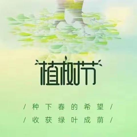 为春天添抹绿🍀