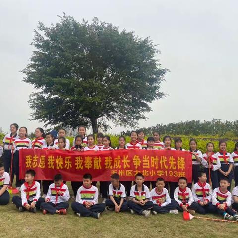 我志愿 我快乐 我奉献 我成长争当时代先锋——大北小学193班学雷锋活动纪实