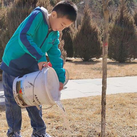 荒山变绿林，桃李绽春风——城关小学二年级（14）班植树节活动