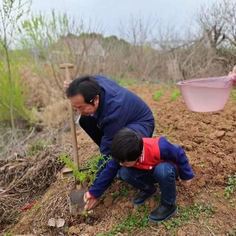 2023年3月12日植树节活动