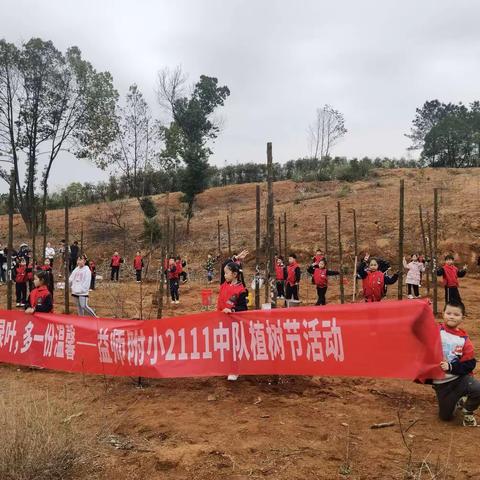 “多一片绿叶，多一份温馨”——益师附小2111中队植树节活动纪实