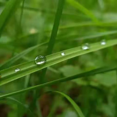 春风化雨，润物无声