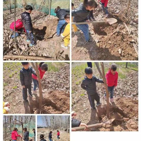 “携一缕春风       植一抹清新绿”鲁西新区育才明德小学植树节活动