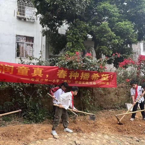 “趣味润童真，春种播希望”——岑溪市第一小学“春种”主题劳动实践活动(2006班)