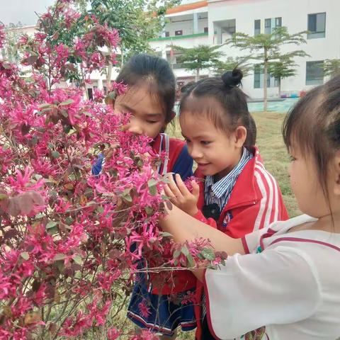 春天的足迹   万冲镇中心幼儿园大二班