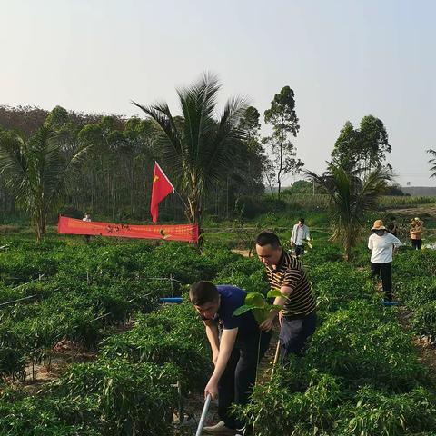 “弘扬雷锋精神.争做新时代活雷锋”暨开展“植树节”主题党日活动