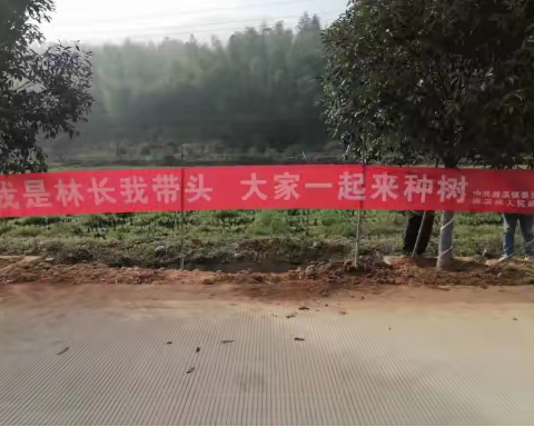 春风十里 植树添绿