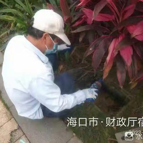 龙华区金贸街道辖区病媒生物防制工作记录