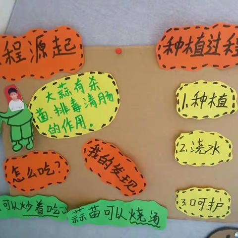 生成课“大蒜生长日记”（副本）