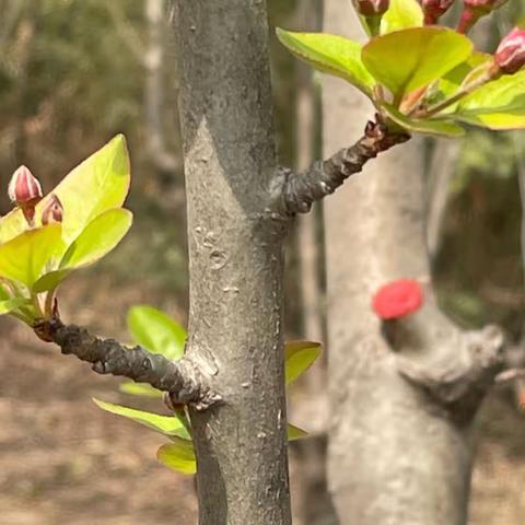 城关镇中心小学的美篇