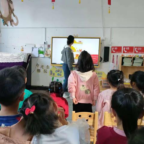 诺贝儿幼稚园大一班班本课程《母鸡萝丝去散步》