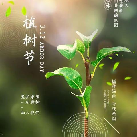 拥抱春天，呵护绿色——梓山中心小学植树节美篇