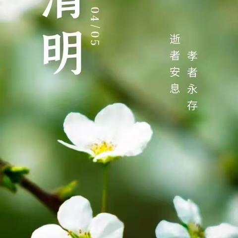 清明时节话清明一深泽县铁杆村小学清明节系列活动