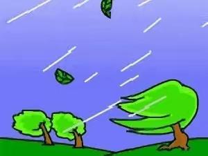 春季大风天气温馨提示