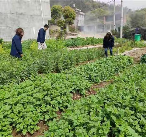 温岭温峤：禁种铲毒不止步 踏查行动进行中