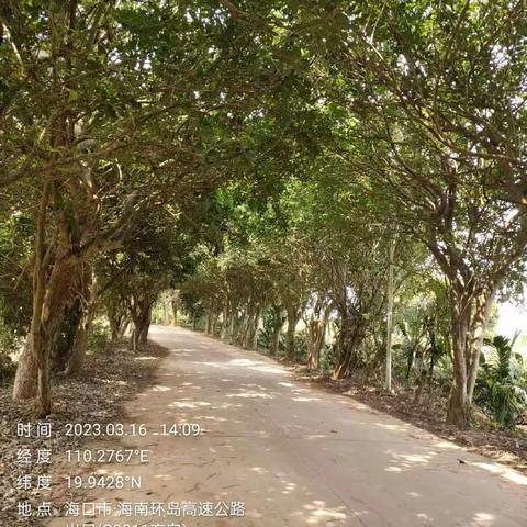 【质量考核--秀英农村一组3月16日】下   已整改