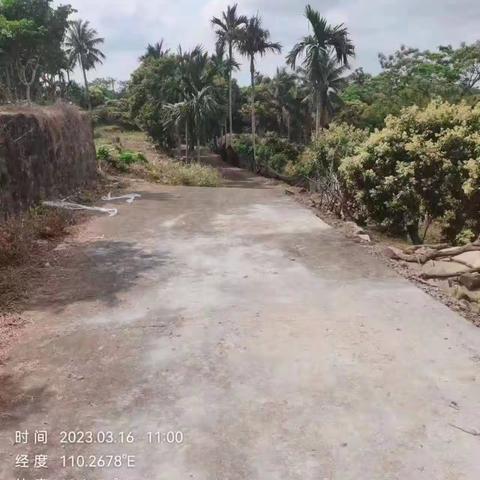 【质量考核--秀英农村一组3月16日】中  已整改