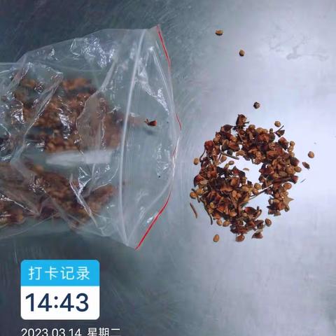 EA211餐厅异物挑选3月14日