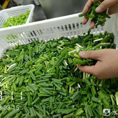 EA211餐厅异物挑选3月15日