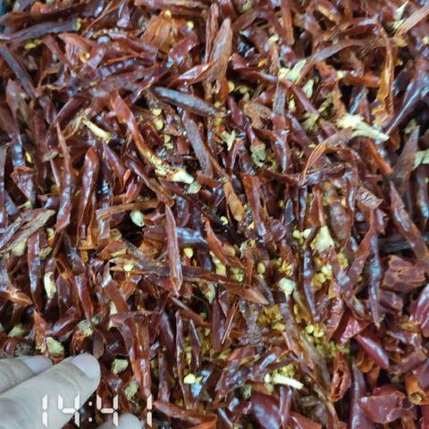 EA211餐厅异物挑选3月17日