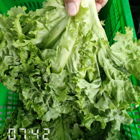 EA211餐厅异物挑选3月28日