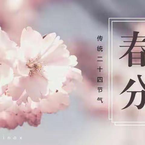 二十四节气—春分🌸