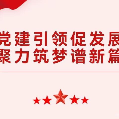 【党建活动】党建引领促发展 聚力筑梦谱新篇——三县岭中心幼儿园党建活动纪实