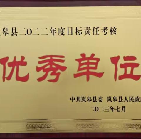 岚皋大队荣获2022年年度目标责任考核优秀单位称号（副本）