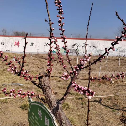 一切安好的美篇