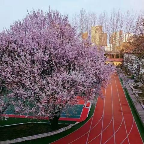 六二班快乐的娃娃们