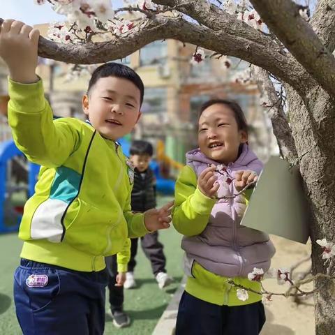 清明时节话清明——烟台东幼儿园清明节系列活动