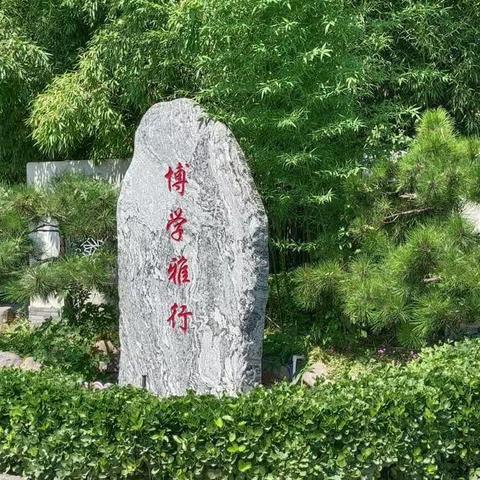 夏花绚烂，不负“暑托”一一望嵩汝北2023暑期托管第四周纪实