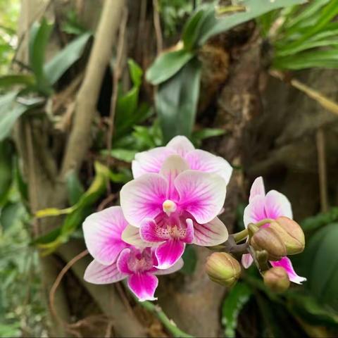 深圳湾皇岗公园2023年4月21日随机检整改汇报