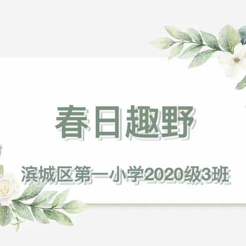 春日趣野——滨城区第一小学2020级四（3）中队实践活动