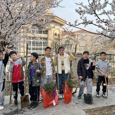 3月12日快乐的植树节活动实践课