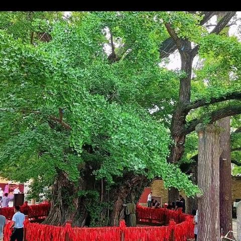 阎庄街道中心小学：学生暑假优秀作文展