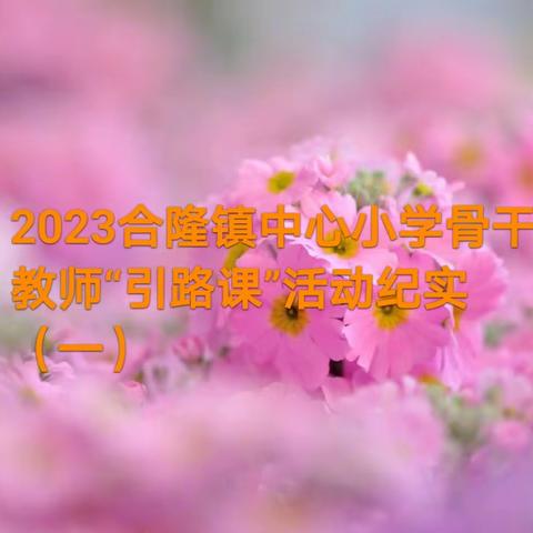 2023年合隆镇中心小学骨干教师“引路课”纪实（一）