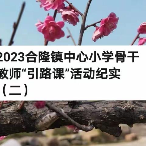 2023合隆镇中心小学骨干教师“引路课”活动纪实（二）