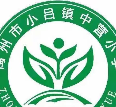 中营学校综合实践活动