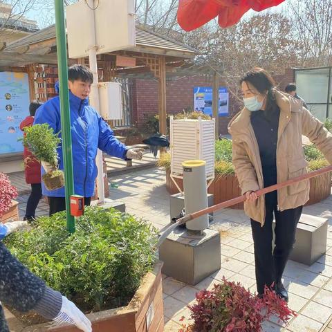 建筑新村街道团工委开展“拥抱春天，播种绿色”植树节活动