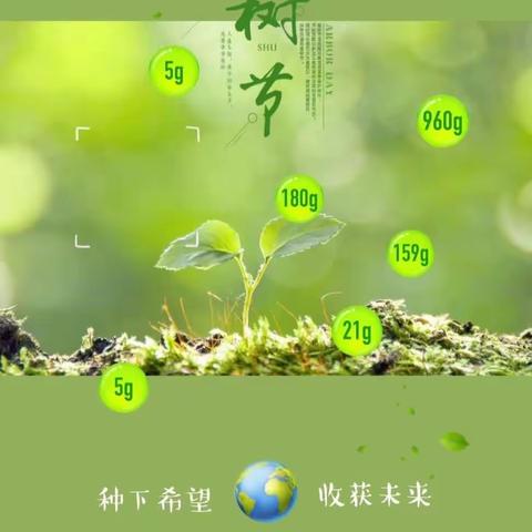 “三月春光至，植树添绿时”——莲花山乡潘村初级小学植树节特色主题活动