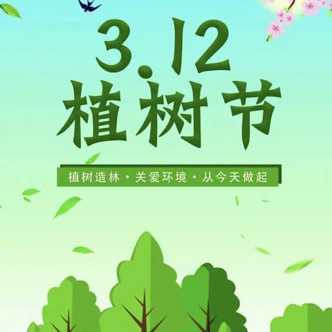 小班植🌲节活动