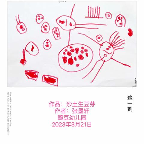 小二班美术作品——沙土生豆芽