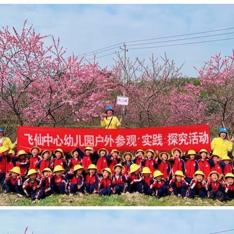 《桃花朵朵开》飞仙中心幼儿园—大二班户外春游活动